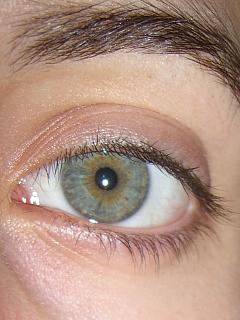 un oeil